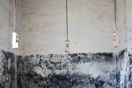 Christian Manuel Schreiber